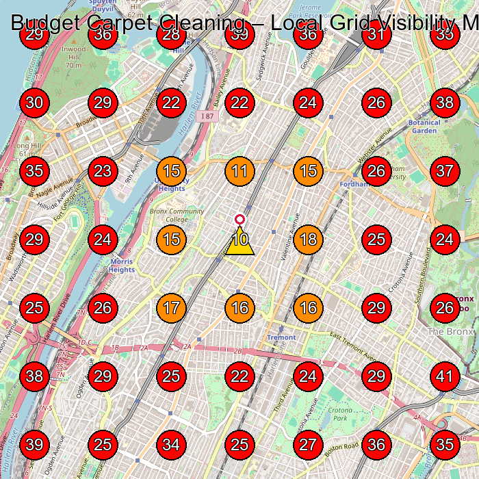 Budget Carpet Cleaning GeoGrid visibility map for Carpet Cleaning Service in Bronx
